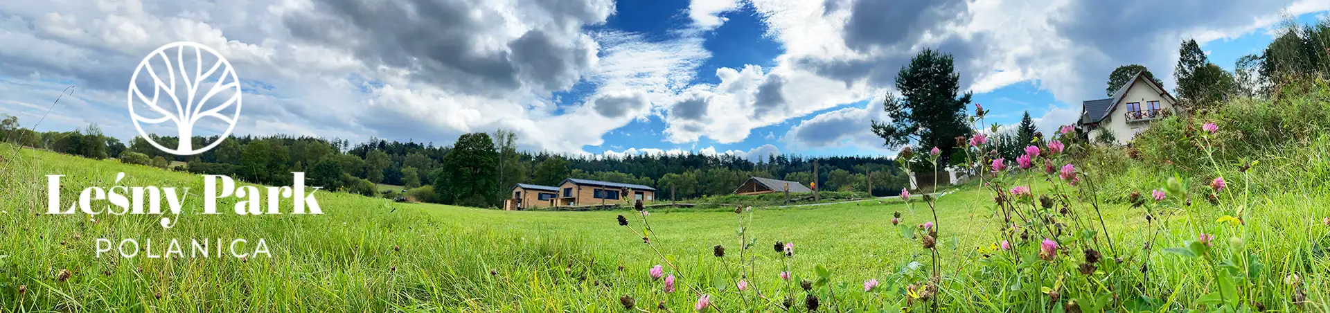 Domki w Polanicy Zdrój